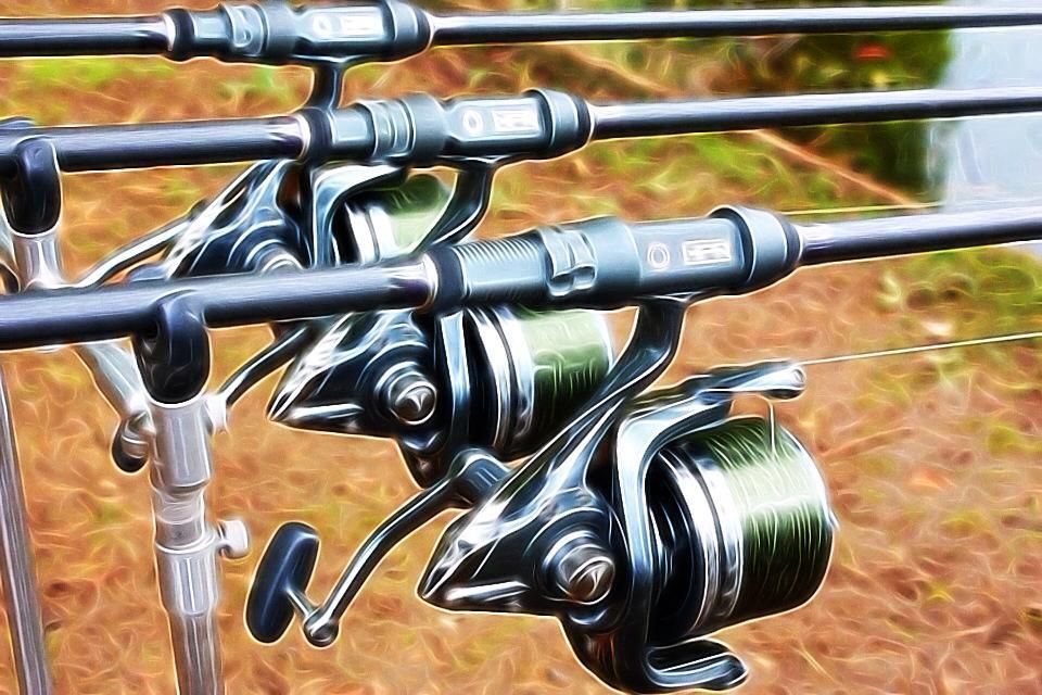 Frank Warwick - 529100102008214765284511508529871n.jpg